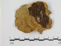 登錄號:F0001487藏品圖，第3張