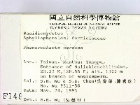 登錄號:F0001488藏品圖，第2張