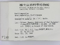 登錄號:F0001489藏品圖，第2張