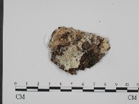 登錄號:F0001492藏品圖，第1張