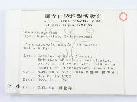 登錄號:F0001493藏品圖，第2張