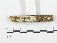 登錄號:F0001493藏品圖，第1張