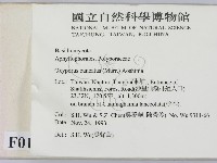 登錄號:F0001494藏品圖，第2張