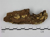 登錄號:F0001494藏品圖，第1張