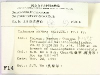 登錄號:F0001495藏品圖，第2張