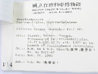登錄號:F0001495藏品圖，第3張