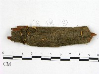 登錄號:F0001495藏品圖，第1張