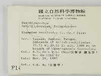 雲芝藏品圖，第2張