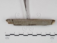 登錄號:F0001498藏品圖，第3張