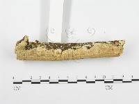 登錄號:F0001500藏品圖，第3張