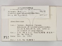 登錄號:F0001502藏品圖，第2張