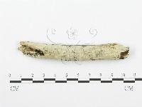 登錄號:F0001502藏品圖，第1張