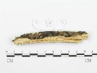 登錄號:F0001502藏品圖，第3張