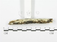 登錄號:F0001502藏品圖，第4張