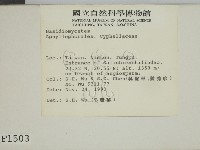 登錄號:F0001503藏品圖，第2張