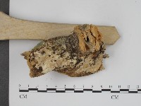登錄號:F0001503藏品圖，第3張
