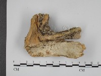 登錄號:F0001503藏品圖，第4張