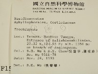 登錄號:F0001504藏品圖，第2張