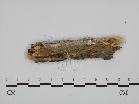 登錄號:F0001504藏品圖，第3張