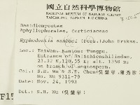 冇骨消絲齒菌藏品圖，第2張