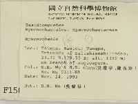 刺革菌屬藏品圖，第2張