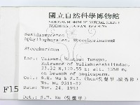 齒耳菌屬藏品圖，第2張