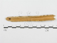 登錄號:F0001508藏品圖，第3張