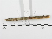 登錄號:F0001508藏品圖，第4張