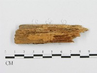 登錄號:F0001509藏品圖，第3張