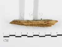 登錄號:F0001509藏品圖，第4張