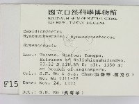 刺革菌屬藏品圖，第2張