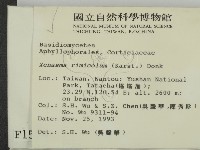 登錄號:F0001514藏品圖，第2張