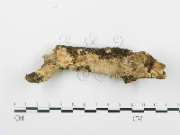 登錄號:F0001515藏品圖，第3張
