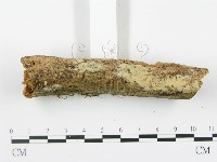 登錄號:F0001516藏品圖，第3張