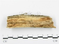 登錄號:F0001516藏品圖，第4張