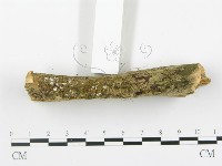 登錄號:F0001516藏品圖，第5張