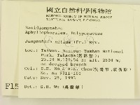 登錄號:F0001517藏品圖，第2張