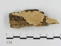 登錄號:F0001517藏品圖，第1張