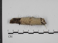 登錄號:F0001518藏品圖，第1張