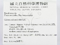 登錄號:F0001520藏品圖，第2張