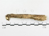 登錄號:F0001522藏品圖，第3張