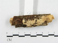 登錄號:F0001524藏品圖，第3張