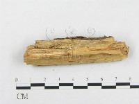 登錄號:F0001524藏品圖，第4張