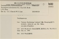 登錄號:F0001525藏品圖，第3張