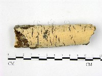 登錄號:F0001526藏品圖，第1張