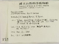 登錄號:F0001527藏品圖，第2張