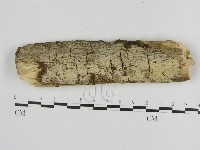 登錄號:F0001530藏品圖，第1張