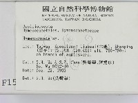 刺革菌屬藏品圖，第2張