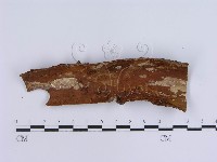 登錄號:F0001532藏品圖，第3張