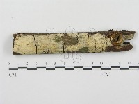 登錄號:F0001533藏品圖，第1張